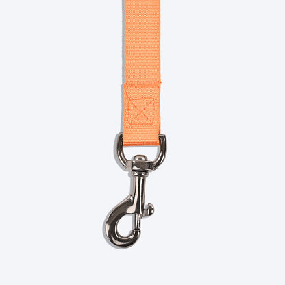 HUFT Essentials Nylon Dog Leash - Orange - 1.5 m (Can be Personalised) - Heads Up For Tails