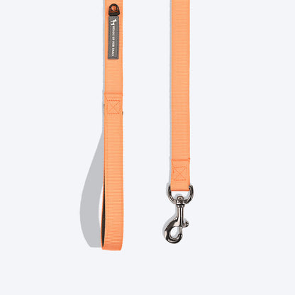 HUFT Essentials Nylon Dog Leash - Orange - 1.5 m (Can be Personalised) - Heads Up For Tails