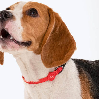 HUFT Classic Puppy Collar - XS - Red - Heads Up For Tails