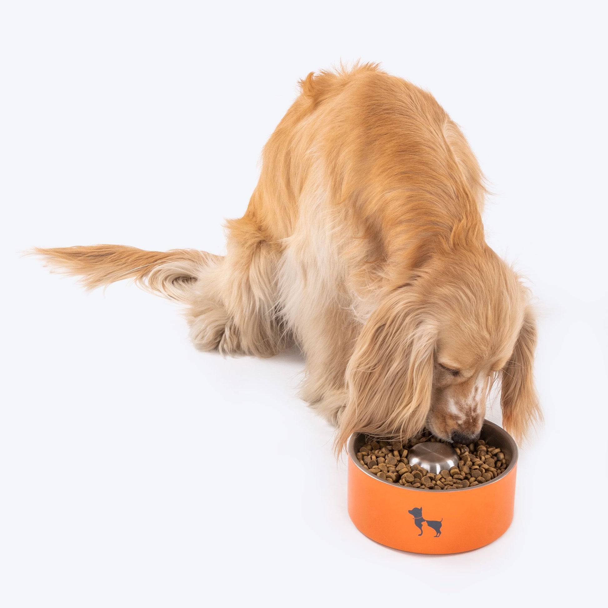 HUFT Quintessential Slow Feeder Pet Bowl - Heads Up For Tails