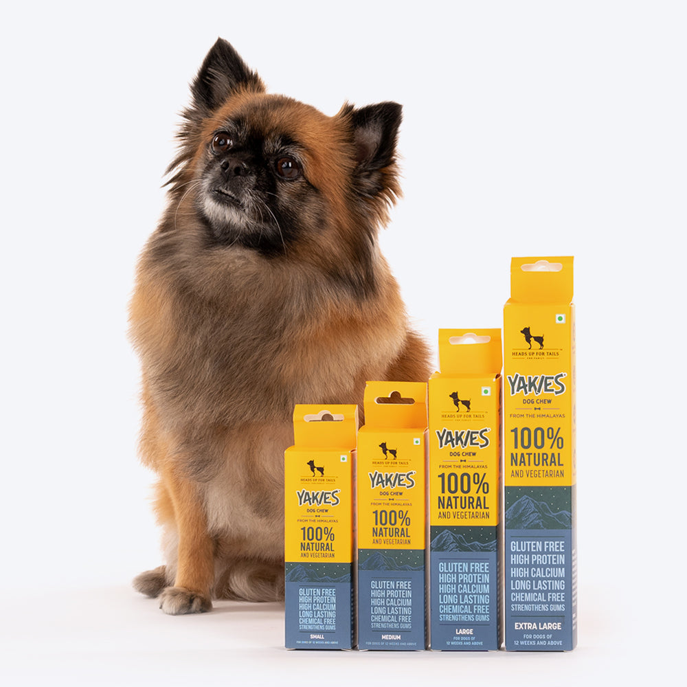 HUFT Yakies Vegetarian Natural Chew Bone - Heads Up For Tails