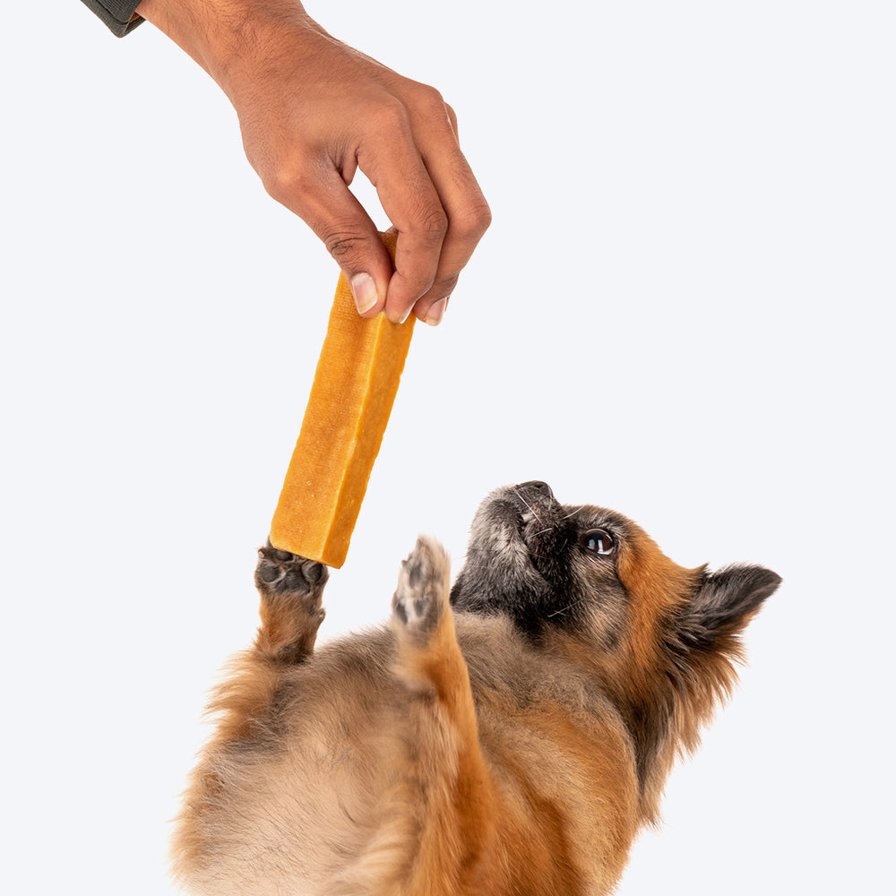 HUFT Yakies Vegetarian Natural Chew Bone - Heads Up For Tails