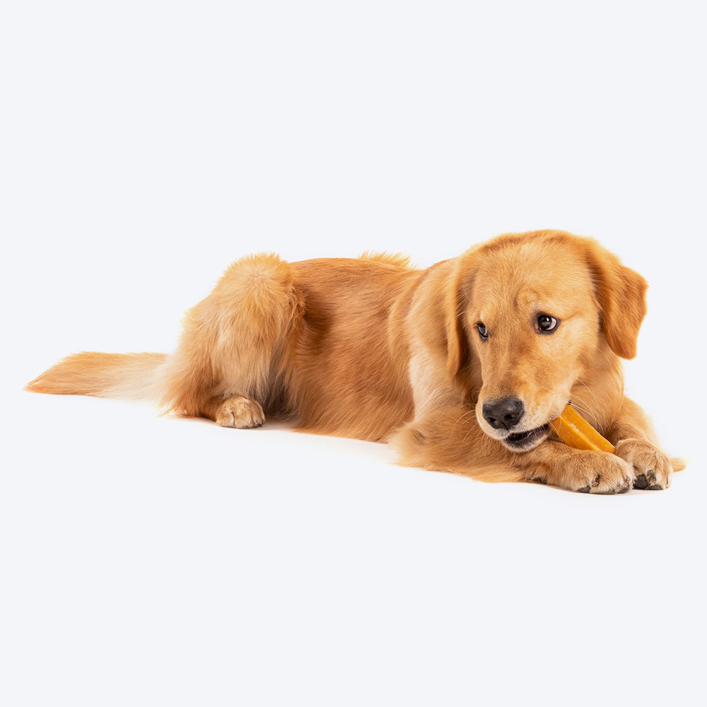 HUFT Yakies Vegetarian Natural Chew Bone - Heads Up For Tails