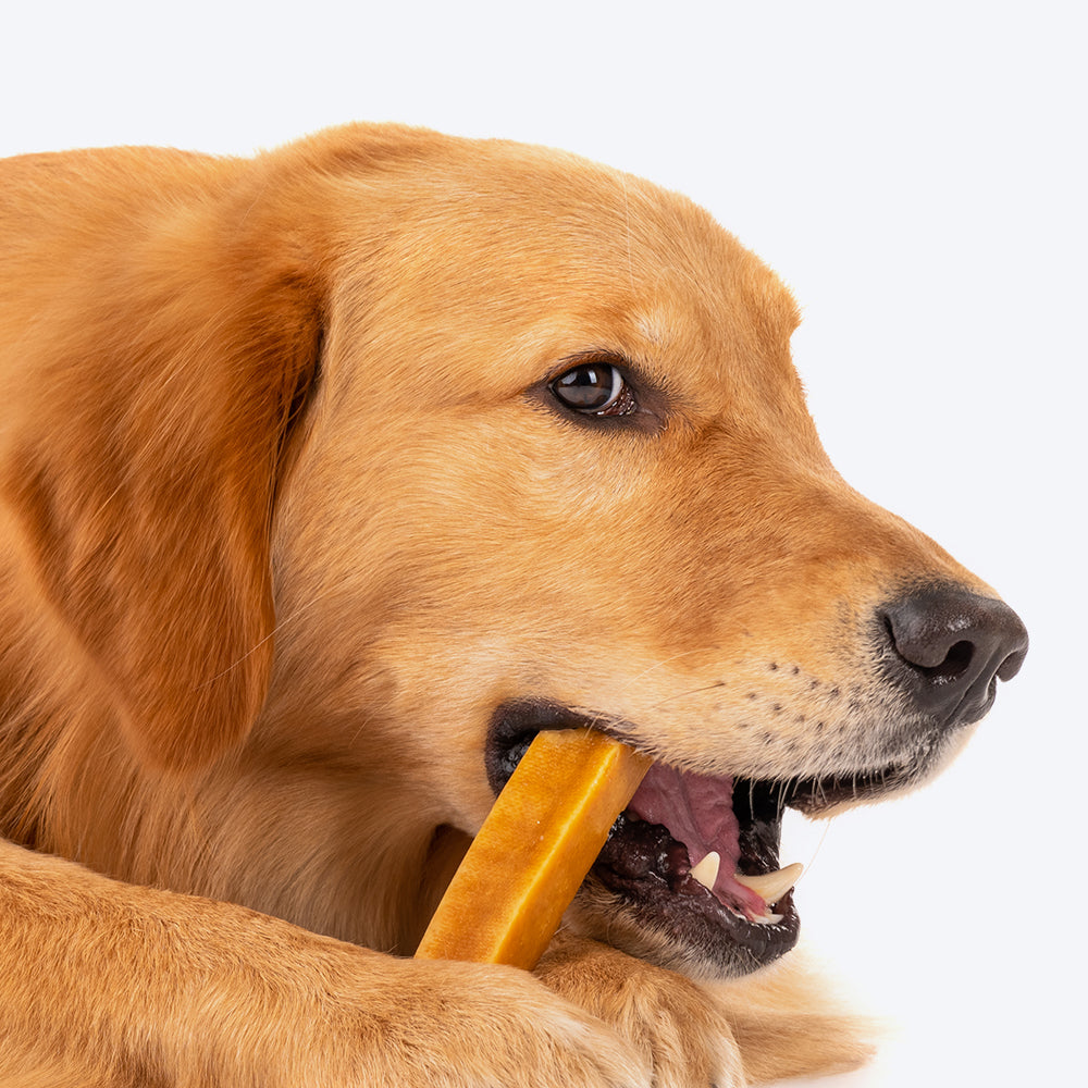HUFT Yakies Vegetarian Natural Chew Bone - Heads Up For Tails