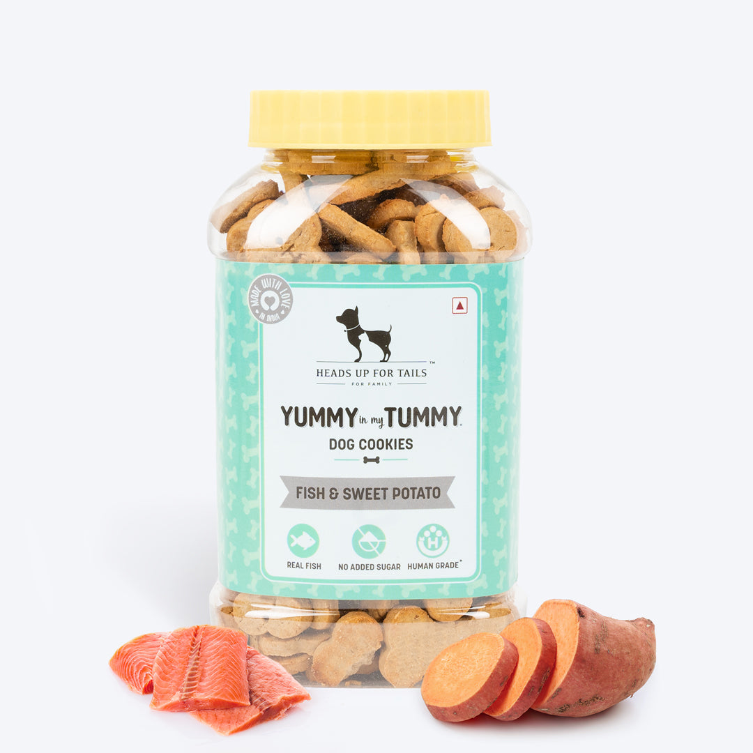 HUFT YIMT Fish & Sweet Potato Dog Biscuits - Heads Up For Tails