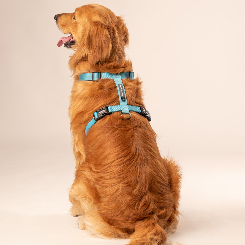 HUFT Essentials Nylon Dog H-Harness - Aqua Blue - Heads Up For Tails