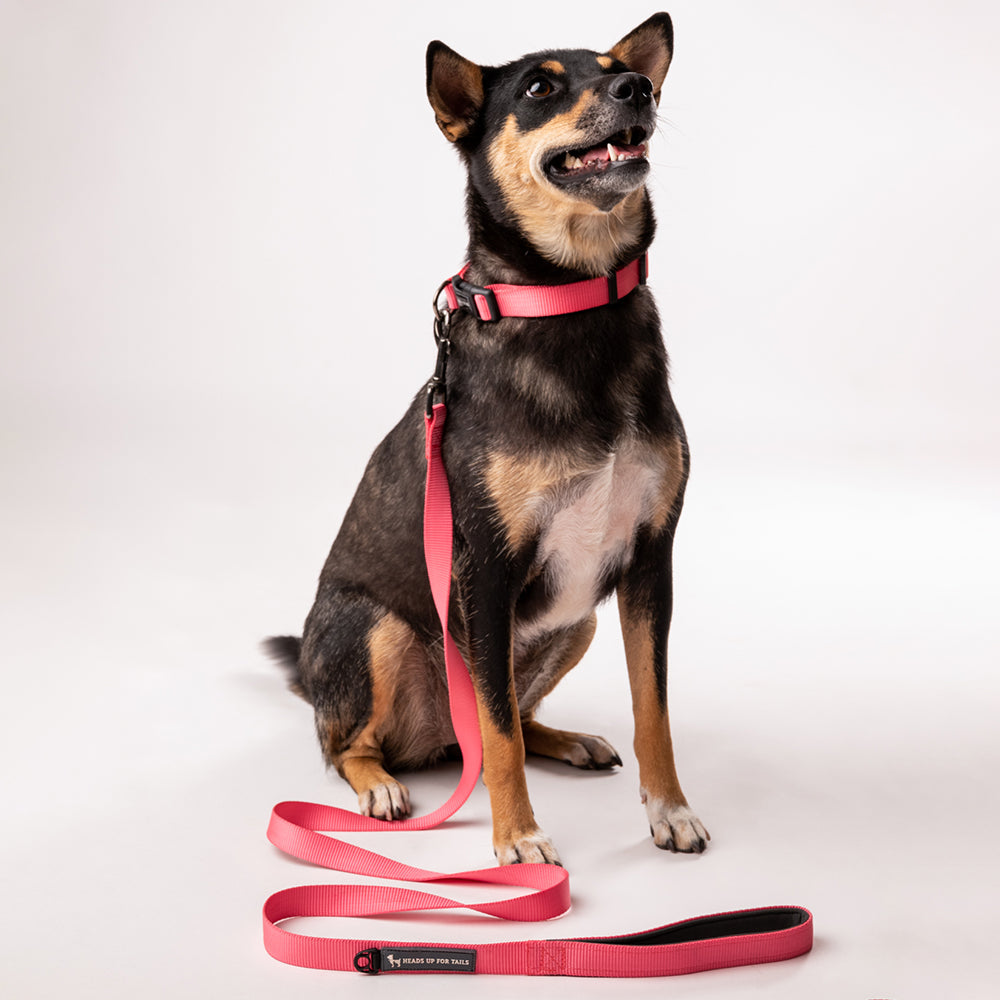 HUFT Essentials Nylon Dog Leash - Dark Pink - Heads Up For Tails