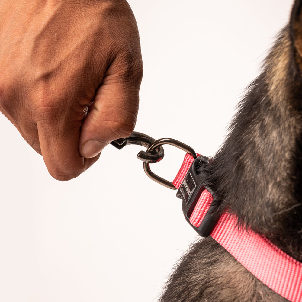 HUFT Essentials Nylon Dog Leash - Dark Pink - Heads Up For Tails