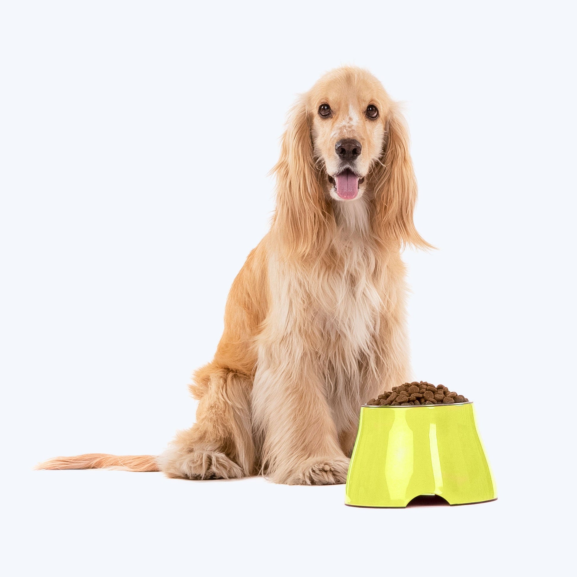 HUFT Elevated Cocker Bowl For Pets (Neon Green) - Heads Up For Tails