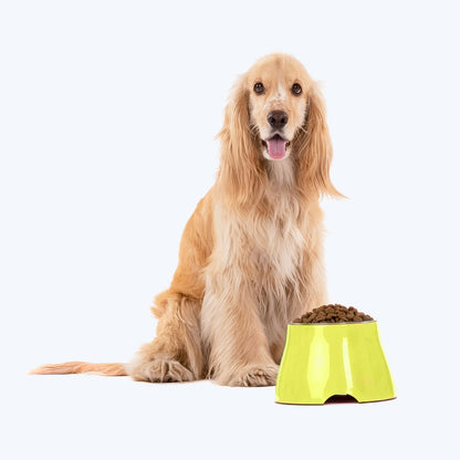 HUFT Elevated Cocker Bowl For Pets (Neon Green) - Heads Up For Tails