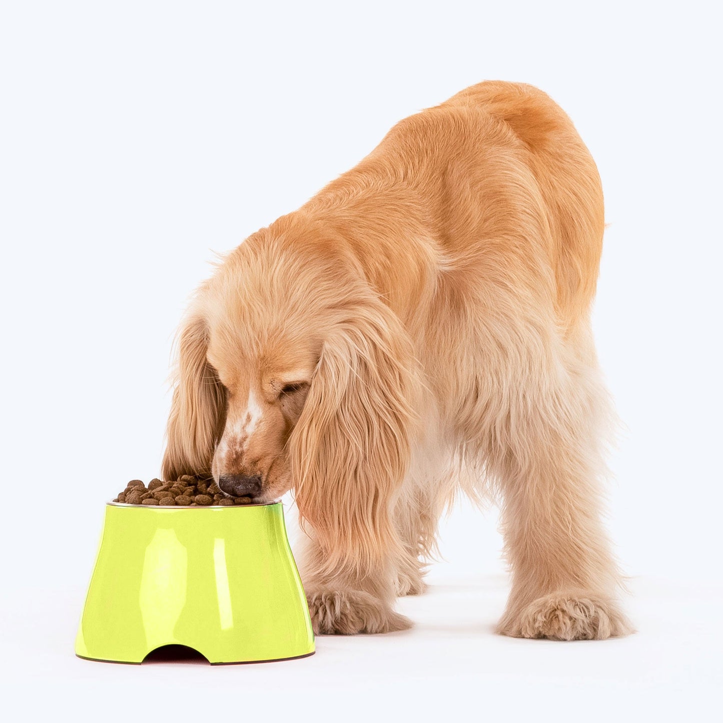 HUFT Elevated Cocker Bowl For Pets (Neon Green) - Heads Up For Tails