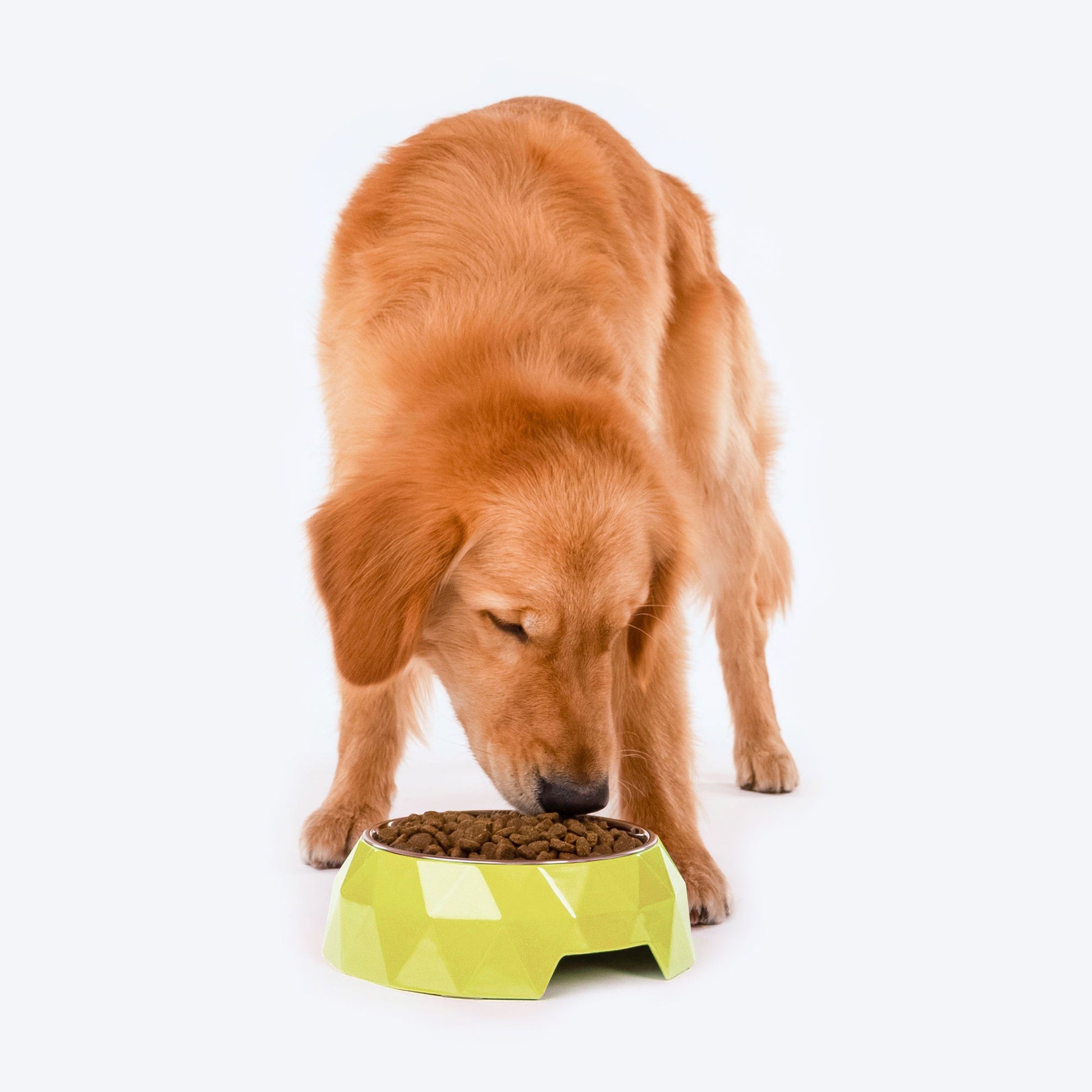 HUFT Diamond Melamine Bowl For Pets (Neon Green) - Heads Up For Tails