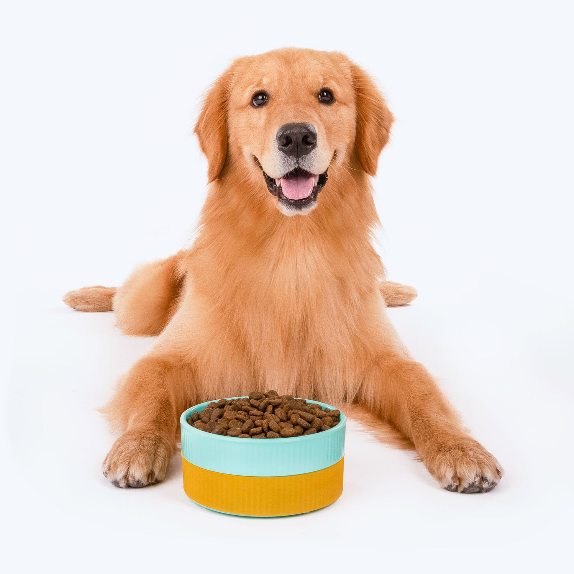 HUFT Dual Color Fun Melamine Bowl For Pets (Mint Green & Yellow) - Heads Up For Tails