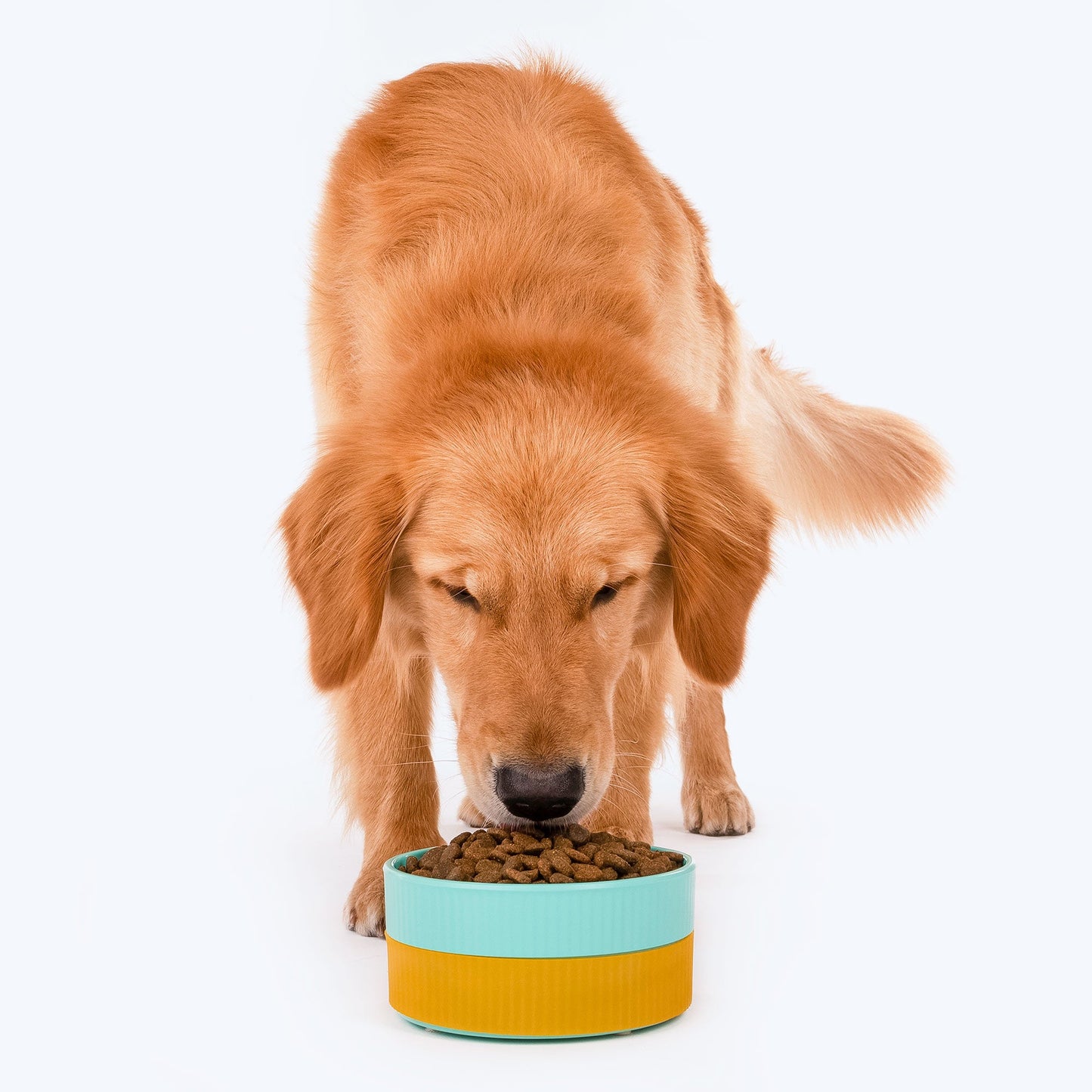 HUFT Dual Color Fun Melamine Bowl For Pets (Mint Green & Yellow) - Heads Up For Tails