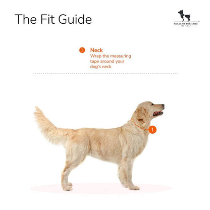 HUFT Classic Nylon Dog Collar - Orange (Can be Personalised)3