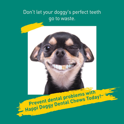 Happi Doggy Vegetarian Dental Chew - Care (Skin and Coat Support) - Honey & Coconut Oil - Petite - 2.5 inch - 150 g - 18 Pieces-8