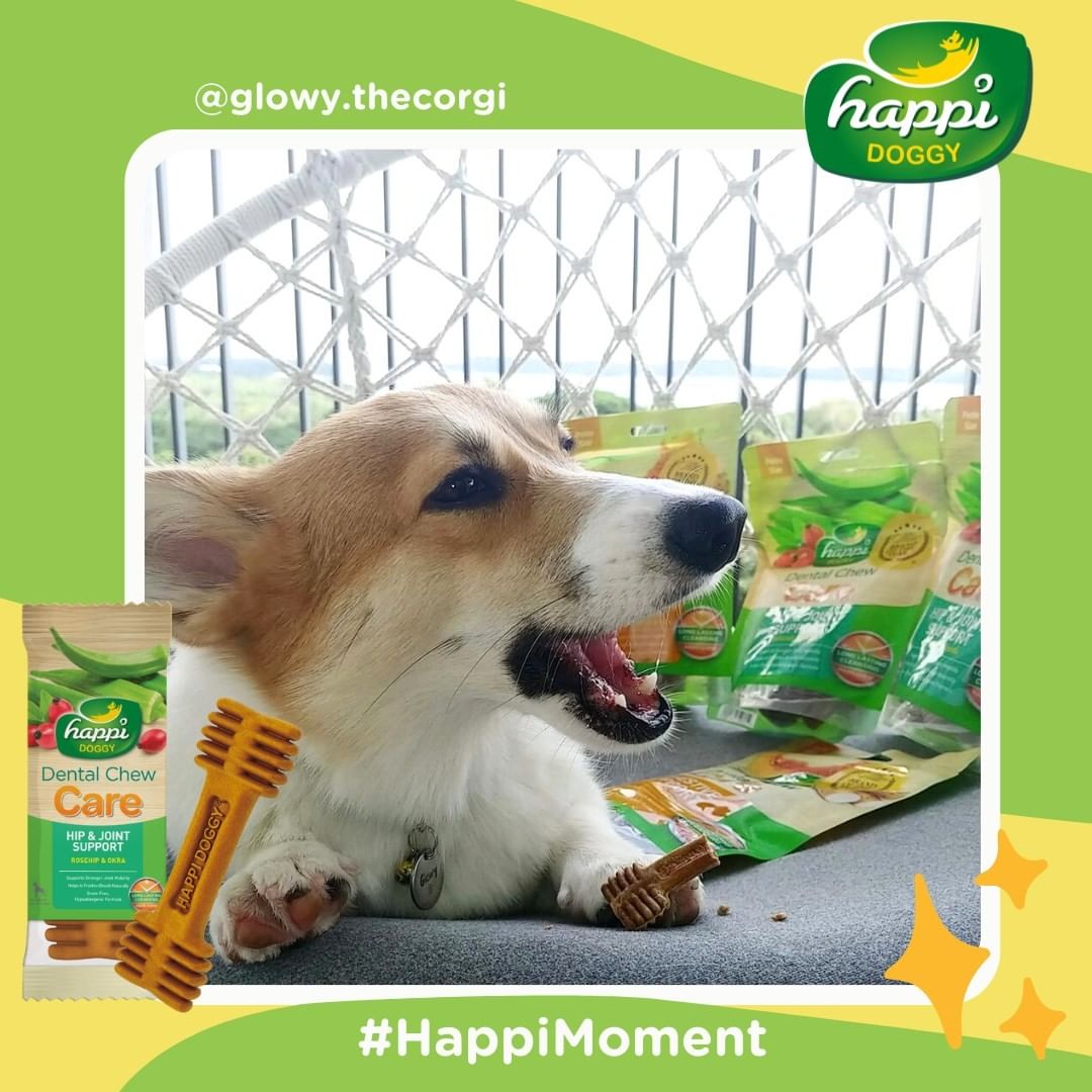 Happi Doggy Vegetarian Dental Chew - Care (Hip & Joint Support) Rosehip & Okra - Petite - 2.5 inch - 150 g - 18 Pieces-7