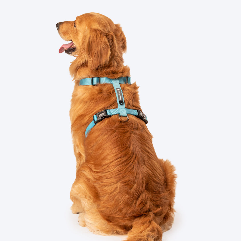 HUFT Essentials Nylon Dog H-Harness - Aqua Blue - Heads Up For Tails