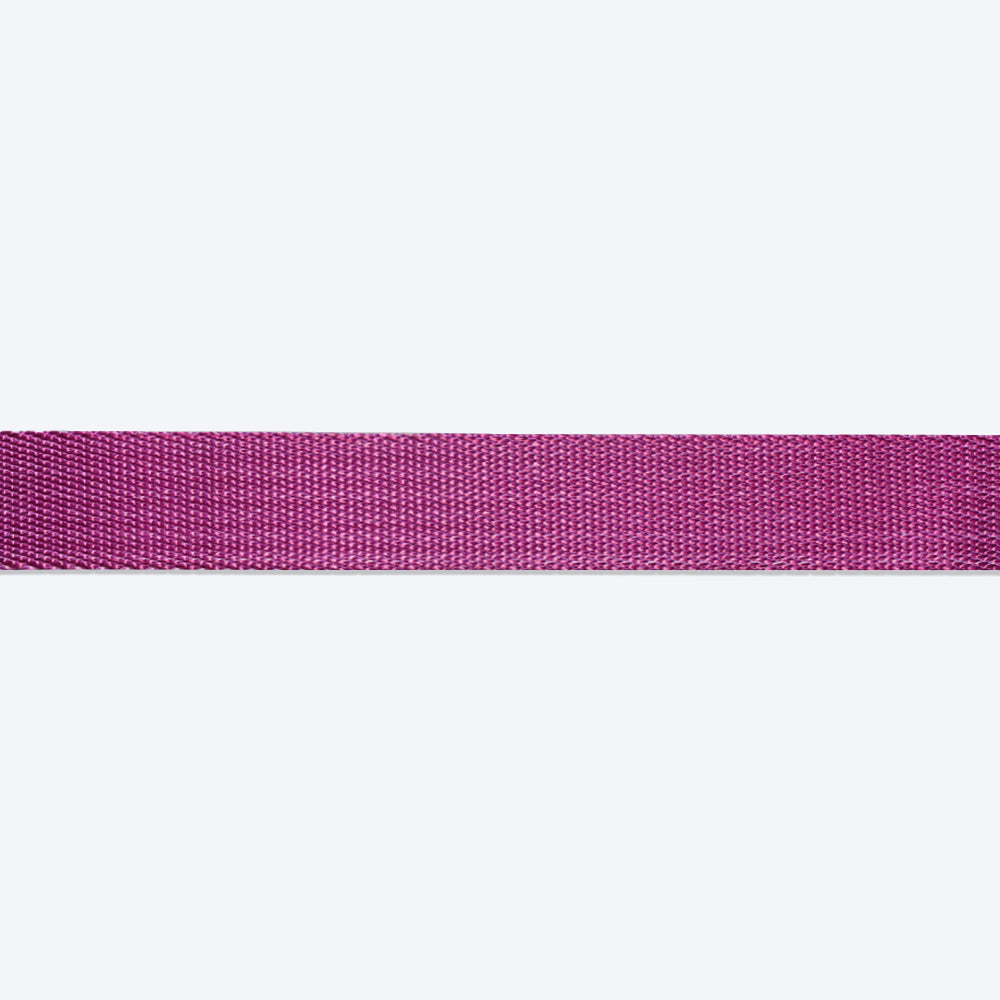 HUFT Classic Dog Collar - Purple - Heads Up For Tails