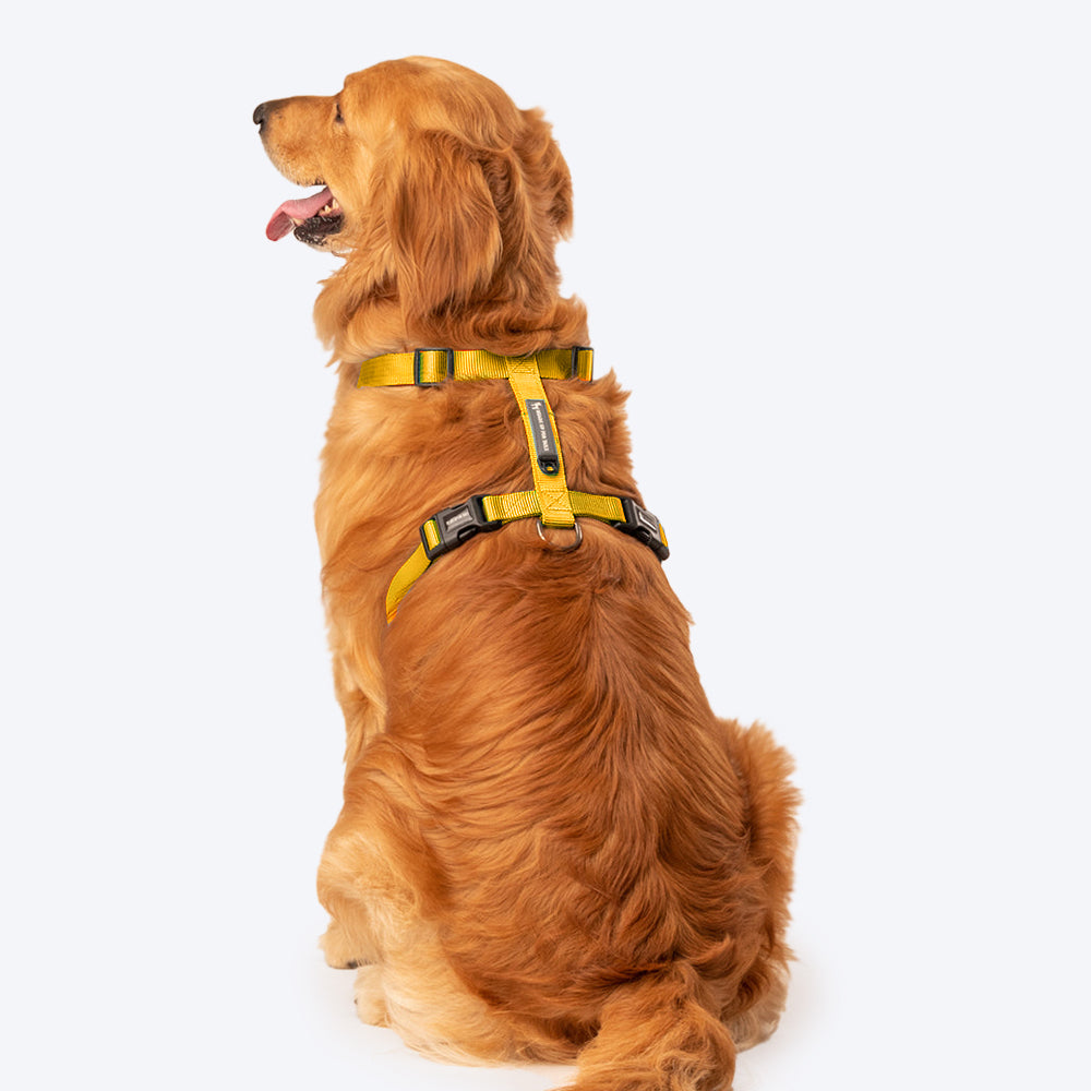 HUFT Essentials Nylon Dog H-Harness - Yellow - Heads Up For Tails