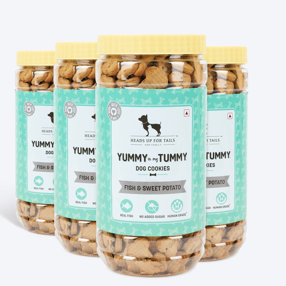 HUFT YIMT Fish & Sweet Potato Dog Biscuits