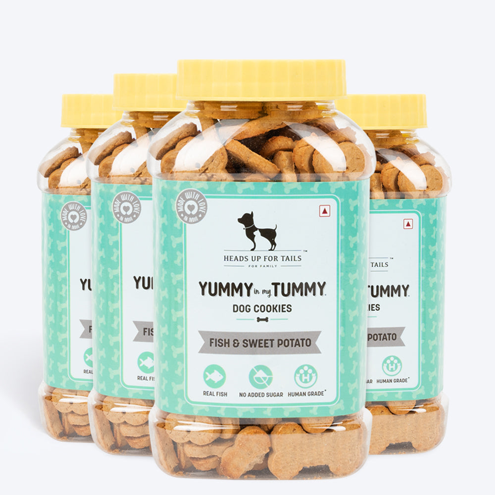 HUFT YIMT Fish & Sweet Potato Dog Biscuits
