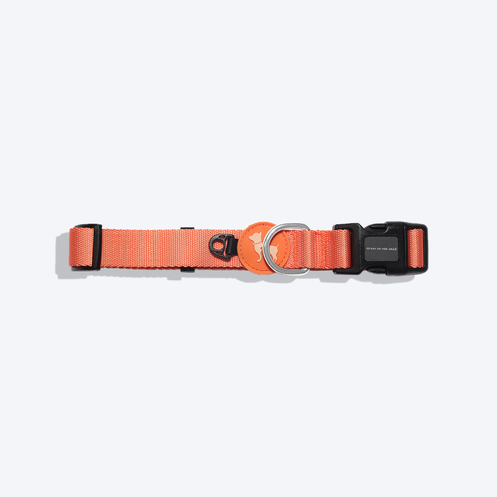 HUFT Classic Nylon Puppy Collar - Orange - Heads Up For Tails