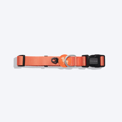 HUFT Classic Nylon Puppy Collar - Orange - Heads Up For Tails