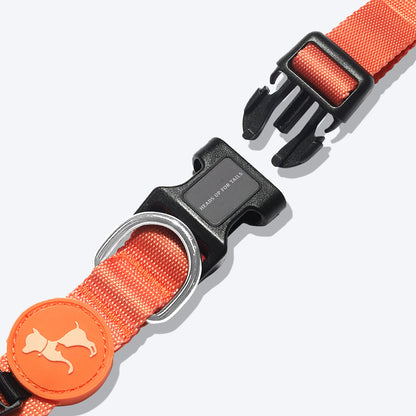 HUFT Classic Nylon Puppy Collar - Orange - Heads Up For Tails