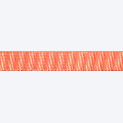 HUFT Classic Nylon Puppy Collar - Orange - Heads Up For Tails