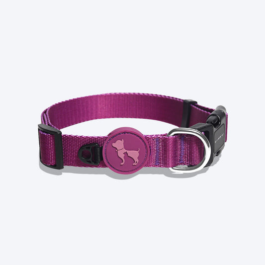 HUFT Classic Dog Collar - Purple - Heads Up For Tails