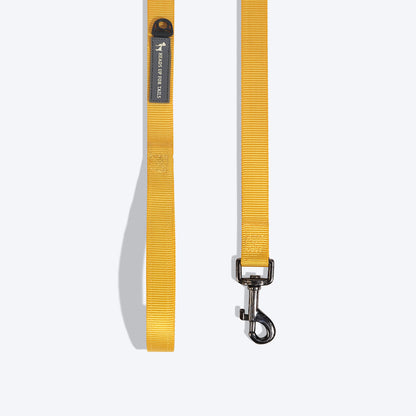 HUFT Essentials Nylon Dog Leash - Yellow - Heads Up For Tails