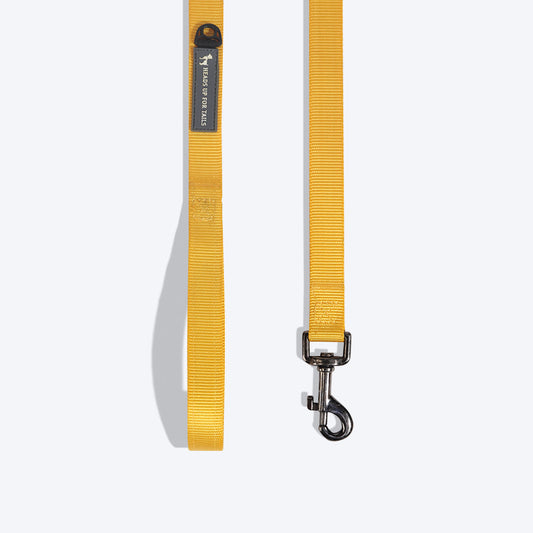 HUFT Essentials Nylon Dog Leash - Yellow - Heads Up For Tails