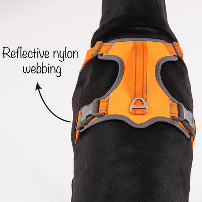HUFT Active Pet Dog Harness - Orange - Heads Up For Tails