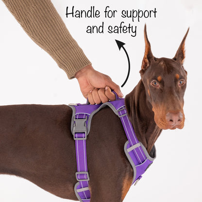 HUFT Active Pet Dog Harness - Purple - Heads Up For Tails