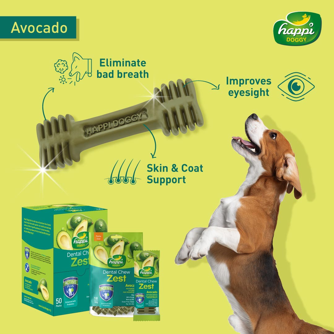 Happi Doggy Vegetarian Dental Chew - Zest - Mint - Petite - 2.5 inch - 150 g - 18 Pieces-3