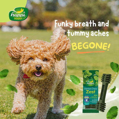 Happi Doggy Vegetarian Dental Chew - Zest - Mint - Petite - 2.5 inch - 150 g - 18 Pieces-2