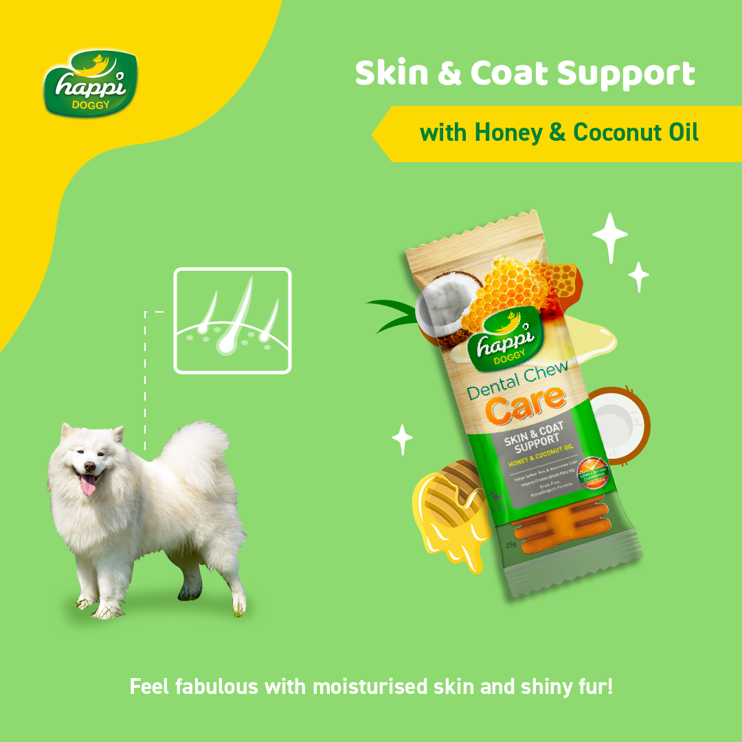 Happi Doggy Dental Chew Care (Skin and Coat) Honey & Coconut Oil - Regular - 4 inch - 150 g - 6 Pieces-2