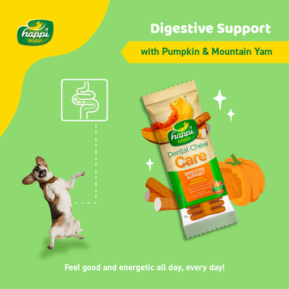 Happi Doggy Vegetarian Dental Chew - Care (Digestive Support) - Pumpkin & Mountain Yam - Petite - 2.5 inch -150 g - 18 Pieces-2